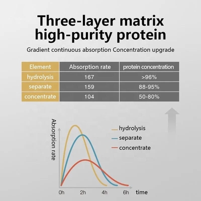 Pó de proteína de soro de leite OEM/ODM Pó de nutrição para exercícios de fitness, aumento muscular, ganho de peso rápido, creatina em pó