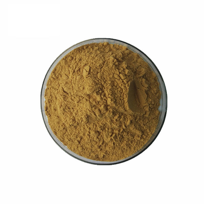 O OEM do extrato de Epimedia pulveriza o pó erval natural 100g do extrato da grama de cabra