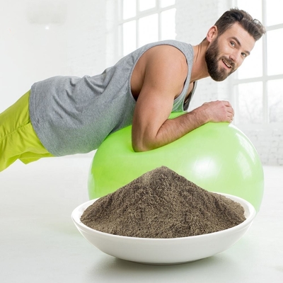 Pó orgânico da proteína do vegetariano do ganho de peso do pó do OEM da proteína