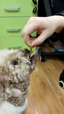 Óleo de peixes nutritivo do suplemento à saúde do animal de estimação do OEM para a ômega 3 dos cães e gato