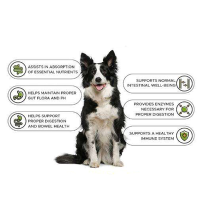 Suplemento de formação à proteína de Dog Weight Gain do construtor do ganho do músculo da saúde do suplemento à tabuleta do ganho de Nutrit do animal de estimação do OEM Natur