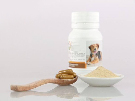 Suplementos nutritivos ao animal de estimação do OEM