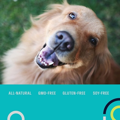 Da grão nutritiva dos suplementos ao animal de estimação dos multivitamínicos suplemento probiótico diário livre ao OEM para cães