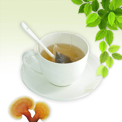 OEM Ganoderma Lucidum Cogumelo Lingzhi Saco de Chá Verde Instantâneo Chá Detox Herbal Saúde