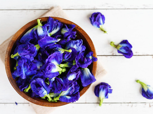 OEM azul secado natural erval de Pea Flower Tea da borboleta