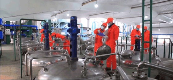 10g/dia OEM Grânulos de Peptídeo de Colágeno de Peixe Suplemento Nutricional com Alta Proteína