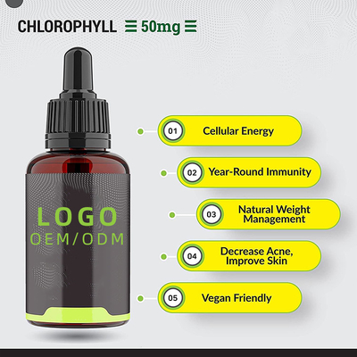 Gotas líquidas de clorofila OEM/ODM para água com sabor de hortelã-pimenta para saúde da pele Suplemento de energia para suporte imunológico