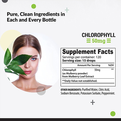 Gotas líquidas de clorofila OEM/ODM para água com sabor de hortelã-pimenta para saúde da pele Suplemento de energia para suporte imunológico