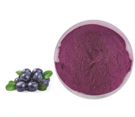 Extracto Natural de Frutas Bebida Sólida Instantânea Suco de Mirtilo em Pó