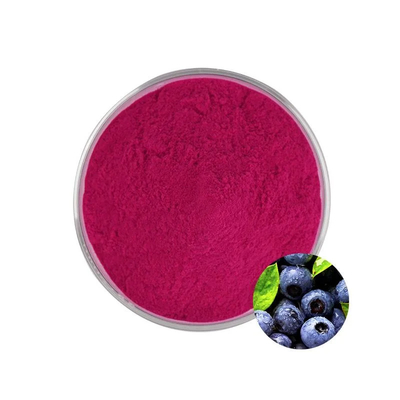 Extracto Natural de Frutas Bebida Sólida Instantânea Suco de Mirtilo em Pó