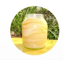 Large Stock Supply Tea Solid Beverage Probiótico Kombucha Powder Factory Wholesale