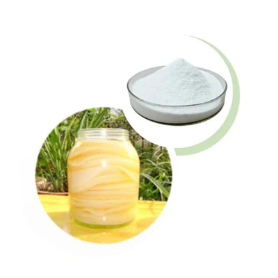 Large Stock Supply Tea Solid Beverage Probiótico Kombucha Powder Factory Wholesale