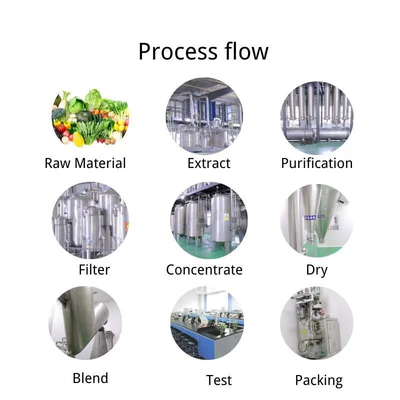 Large Stock Supply Tea Solid Beverage Probiótico Kombucha Powder Factory Wholesale