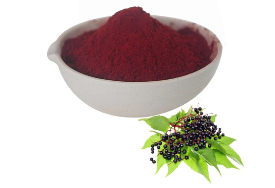 Fabricante Fornecer Venda Quente Solúvel em Água Sucos Instantâneos de Cravinho em Pó Pó de Frutas